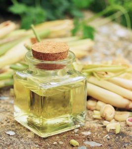 What Lemongrass Essential Oil Is Good For – 17 Amazing Benefits