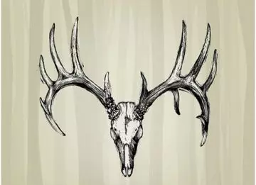 Best deer skull tattoo design