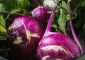 Turnips: 12 Impressive Health Benefit...