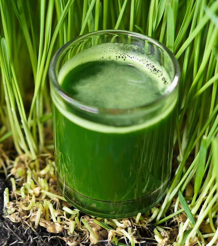 5 Best Benefits and Uses Of Wheatgrass Juice For Skin, Hair and Health