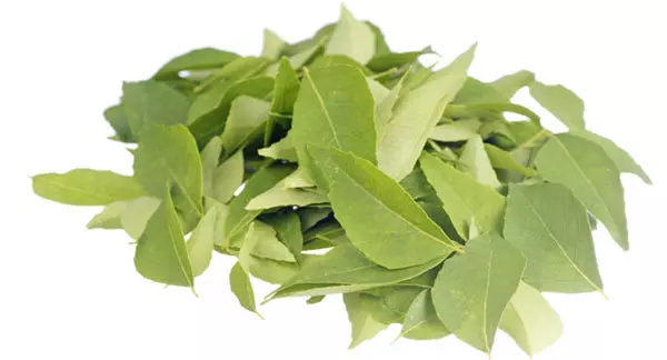 Curry leaf is a good vegetable for hair growth