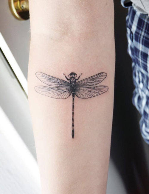 Delicate dragonfly tattoo design