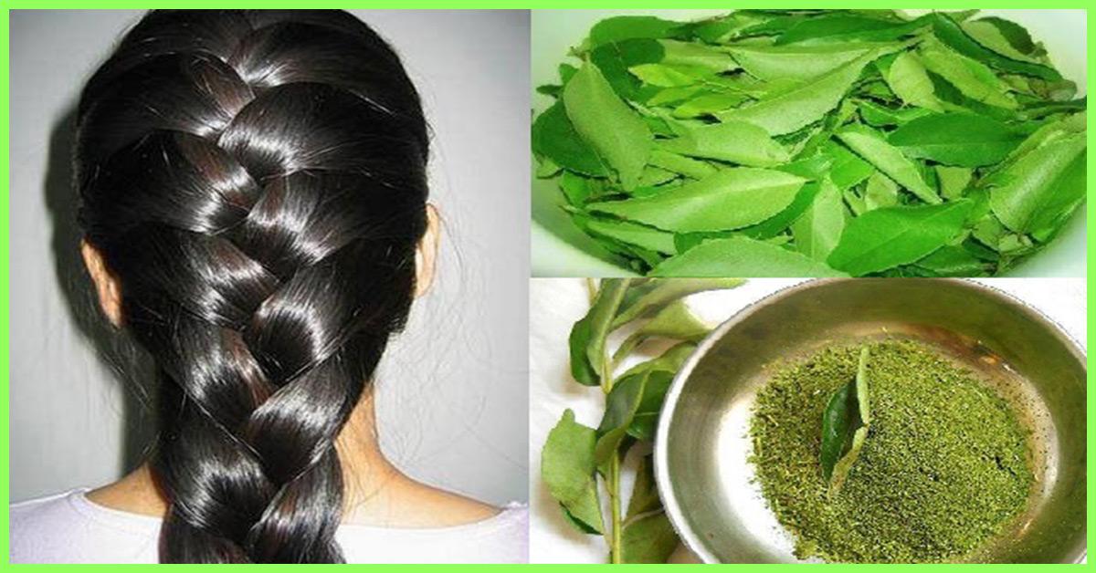 How To Use Curry Leaves For Hair Growth