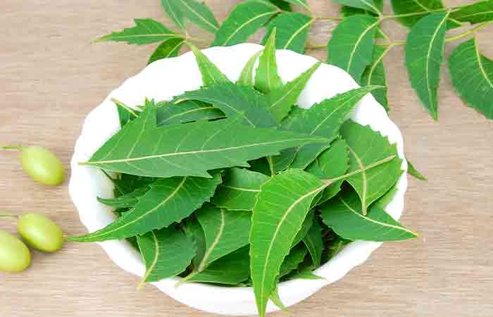 Neem leaves as a way of treating temple hair loss naturally