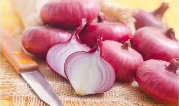 Onion is a good vegetable for hair growth