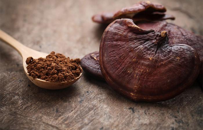 Reishi mushroom to help manage hair loss
