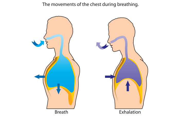 Right-Breathing