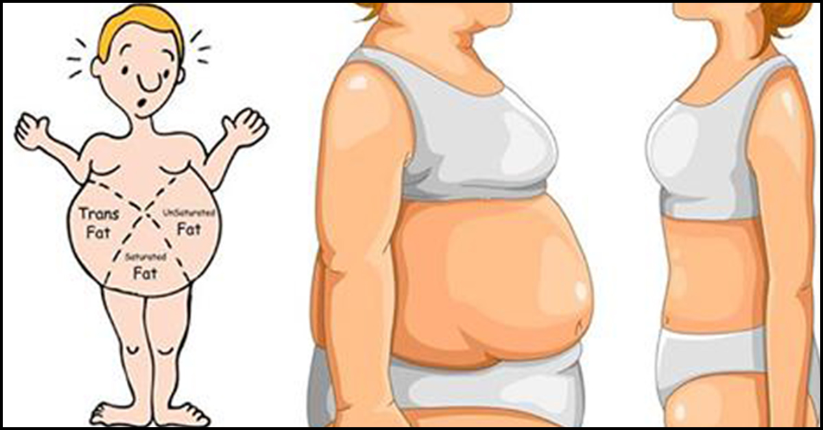 Belly Fat Loss Diet Chart