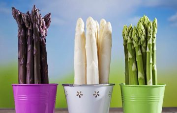 Types of asparagus beneficial for health