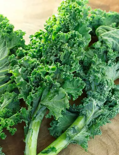 Kale for healthy kidneys