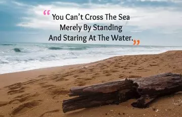 Motivational Quotes for Weight Loss - You Can’t Cross The Sea Merely By Standing And Staring At The Water
