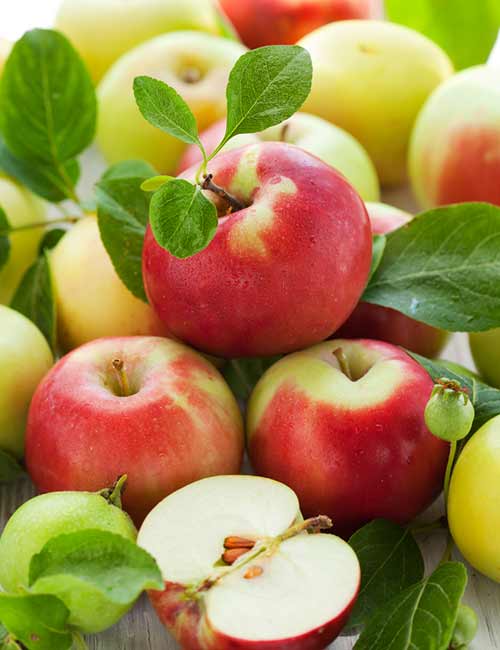 Apples for healthy lungs