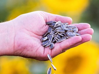7 Benefits That Make Sunflower Seeds A Healthy Snack