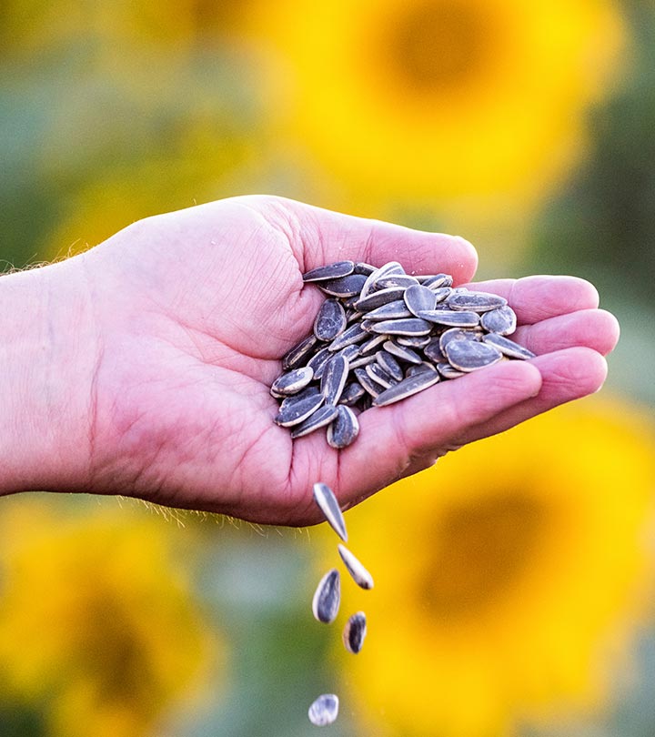 7 Benefits Of Sunflower Seeds, Nutrition Profile, & How To Eat