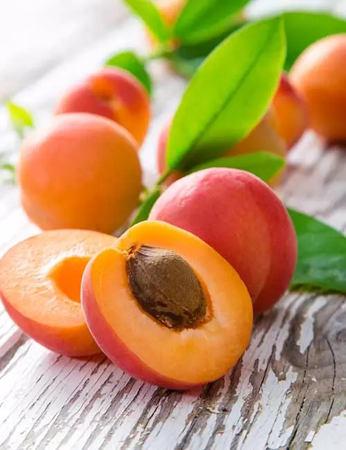 Apricot for healthy lungs