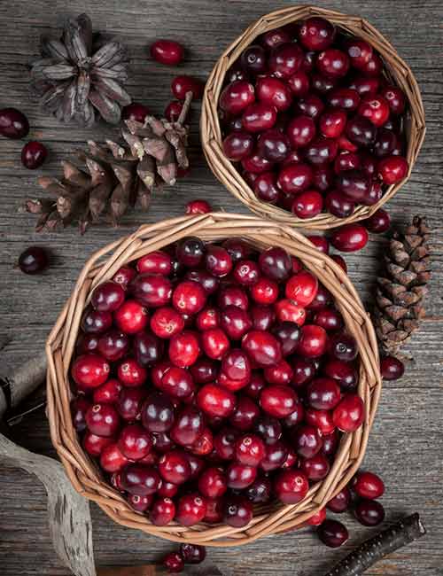 Foods For A Healthy Kidney - Cranberries