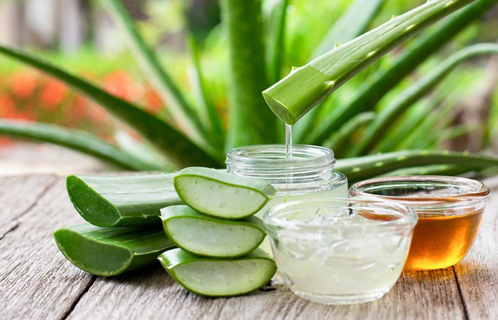Freshly plucked aloe vera leaves aid in reducing inflamed skin and pimples