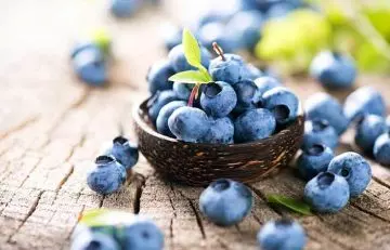 Blueberries among best anti-aging foods