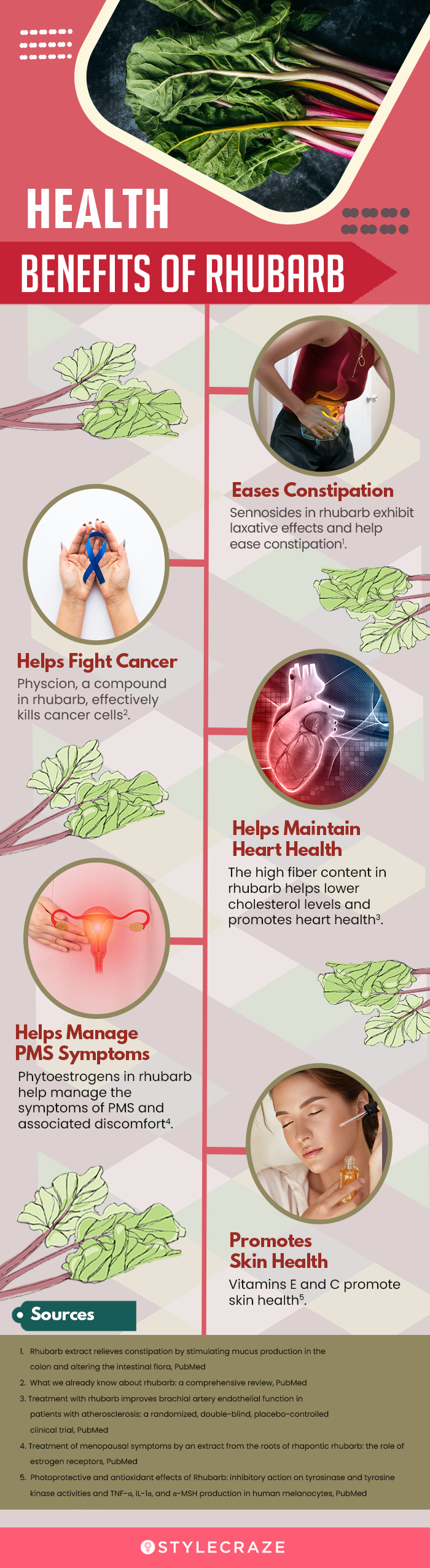 health benefits of rhubarb (infographic)
