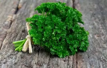 Parsley among best anti-aging foods