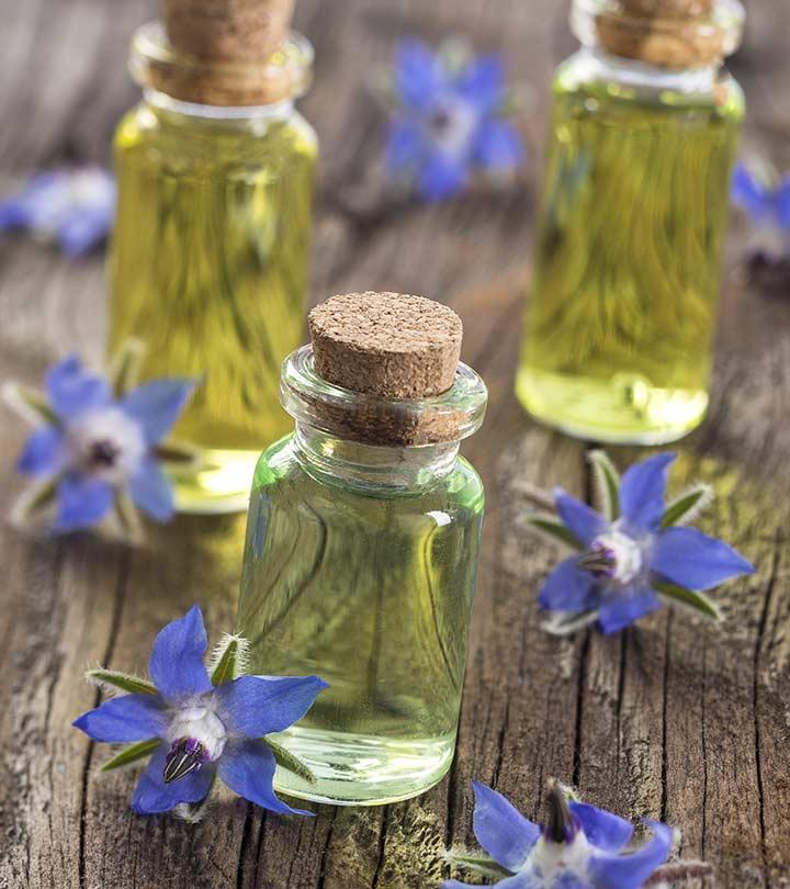 Borage Seed Oil  Tattvalogy