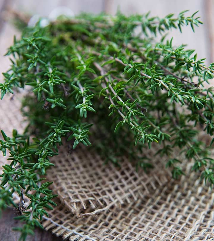 13 Health Benefits Of Thyme, Nutrition, And Side Effects