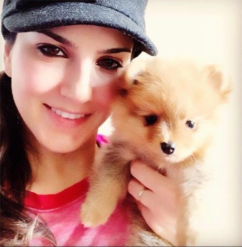 8. Amante de animais Sunny Leone sem maquiagem