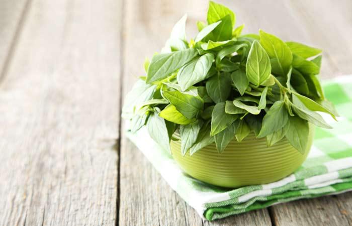 9.-Basil-For-Kidney-Stones