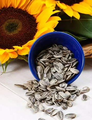 Sunflower seeds support a fatty liver diet