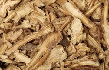 Angelica root as a home remedy for heart burn