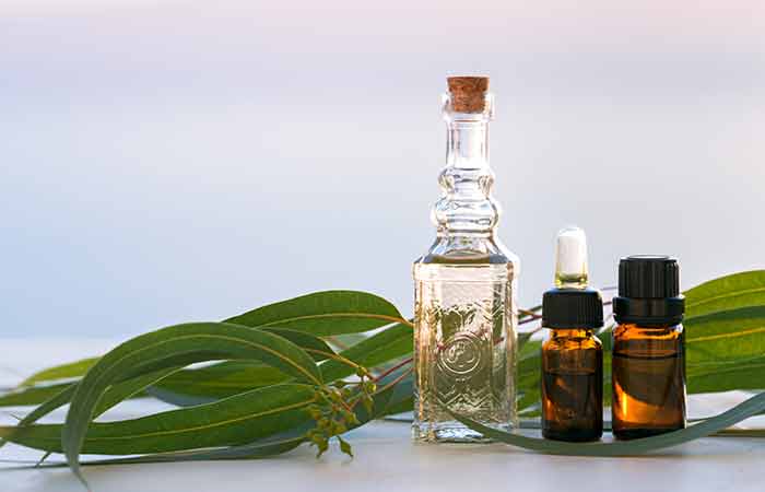 Eucalyptus oil for asthma treatment