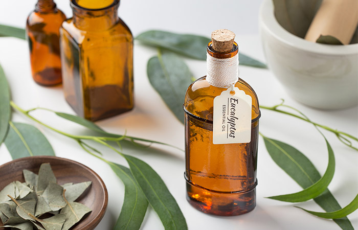Vials of eucalyptus essential oil