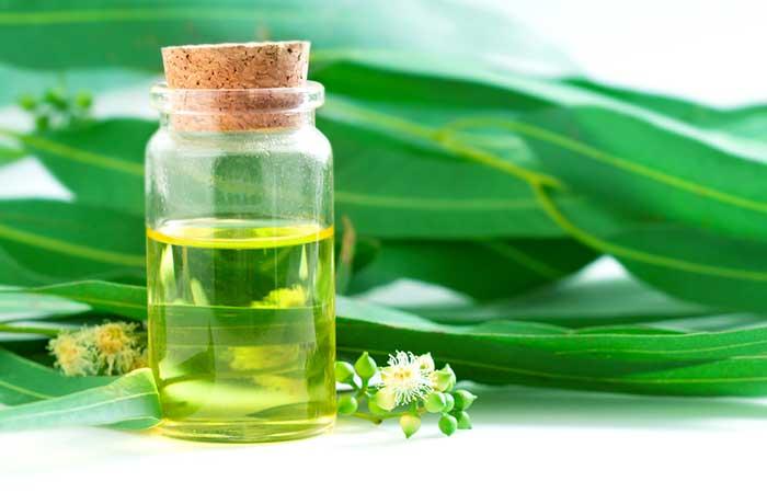 Foot Pain - Eucalyptus Oil