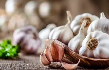 Garlic is a metabolism boosting food
