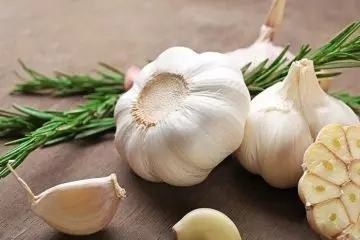Garlic to get rid of vaginal odor