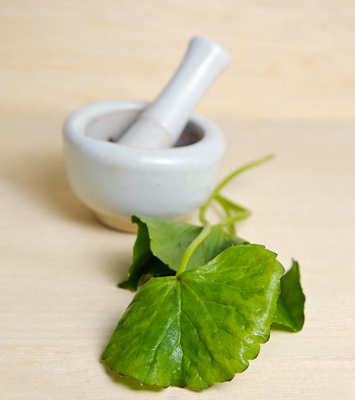 9 Benefits Of Gotu Kola How To Consume It And Side Effects