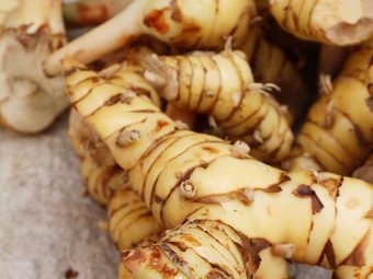 Guard Your Gut And Groin With Galangal Benefits And Composition