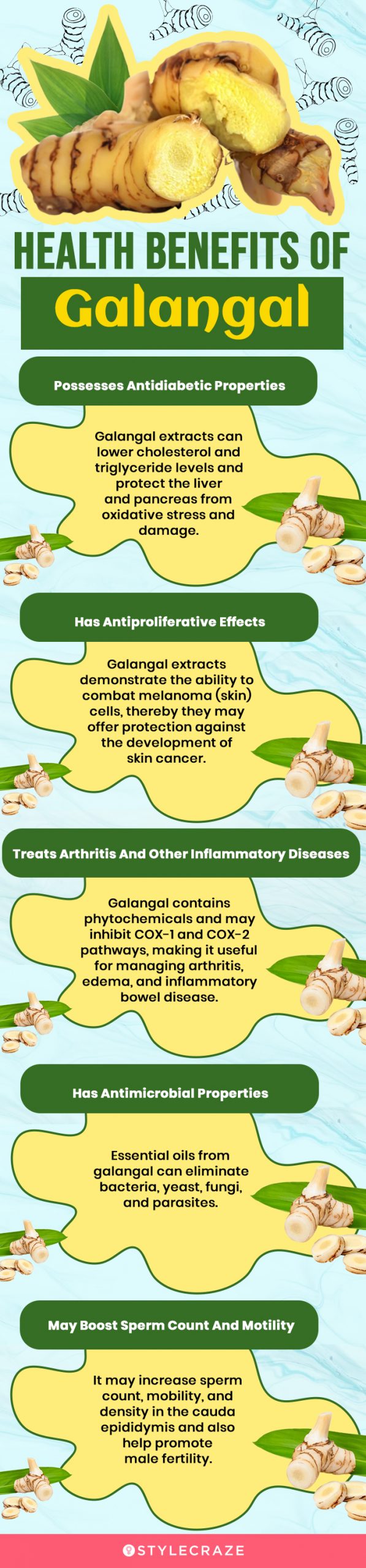 health benefits of galangal(infographic)