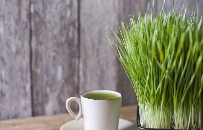 Juices For Weight Loss - Wheatgrass Tone-Up