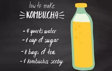 How to make Kombucha tea