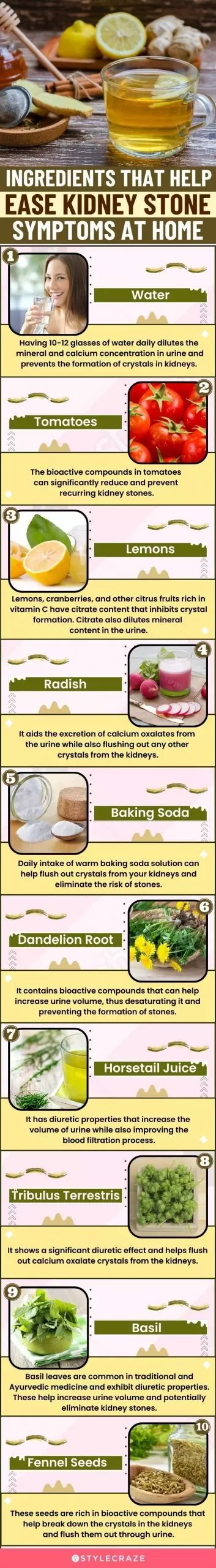 ingredients that help easy kidney stone symptoms at home (infographic)