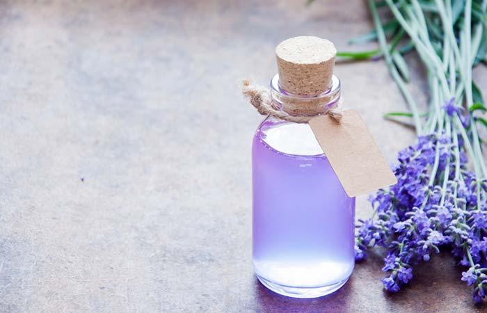 How Often Should You Water Lavender Plants Gardener Report