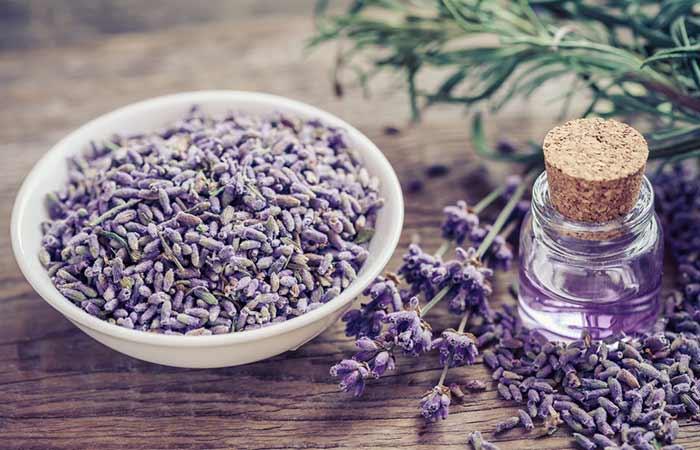 Lavender Often Should You Water How