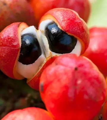 The Goodness Of Guarana What Is It Why Should You Try It