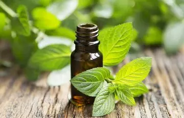Peppermint essential oil to get rid of abdominal bloating