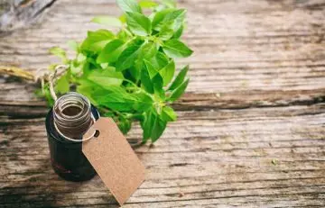 Lower Your Cholesterol Levels - Holy Basil Essential Oil