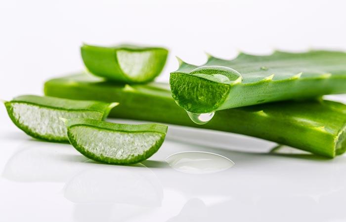 1. Aloe Vera