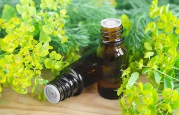 Essential oils to stop a nosebleed