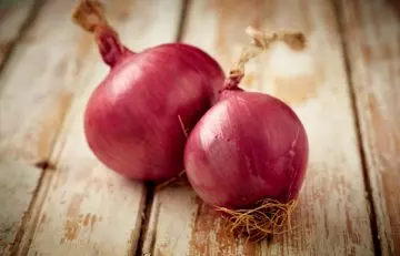 Onion for common cold
