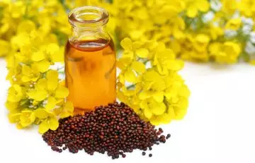 Mustard seed oil for malaria
